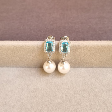E255 Earrings