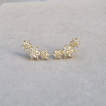 E097 Earrings