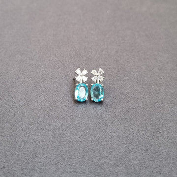 E099 Earrings