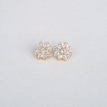 E117 Earrings