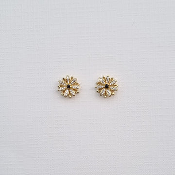 E479 Earrings