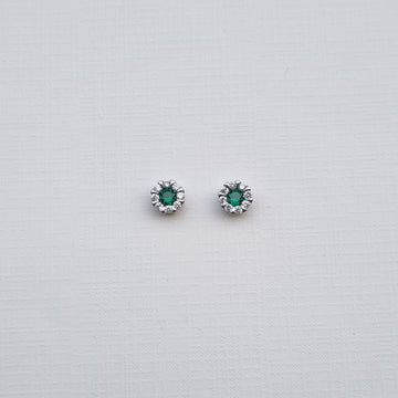 E484 Earrings