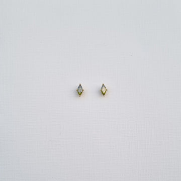 E493 Earrings