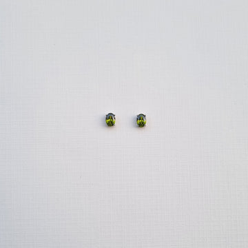 E494 Earrings