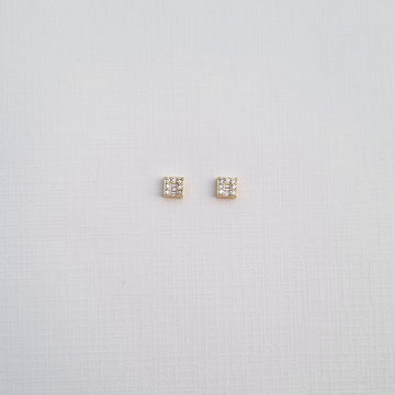 E497 Earrings