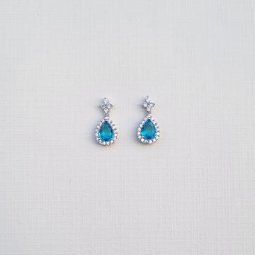 E500 Earrings