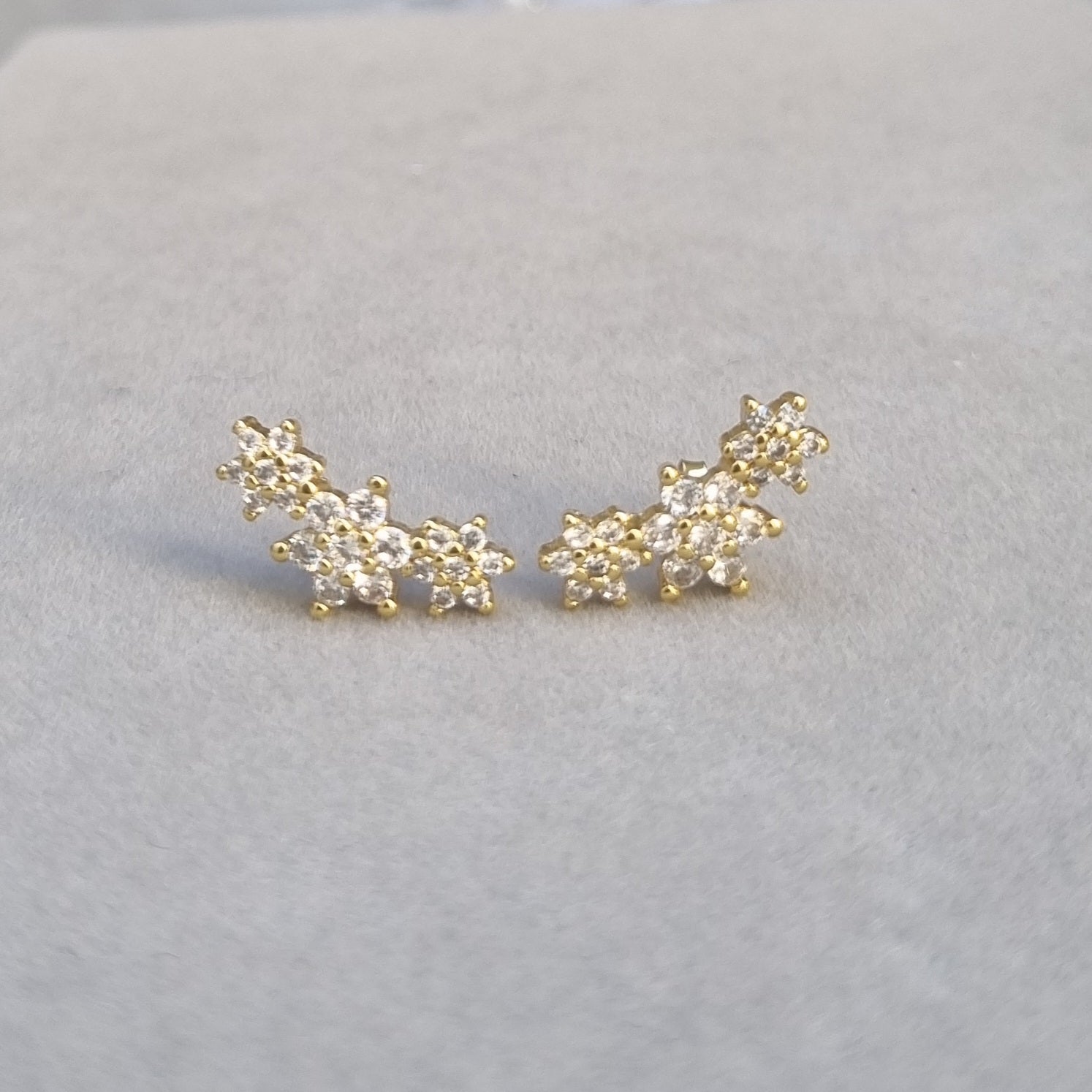 E097 Earrings