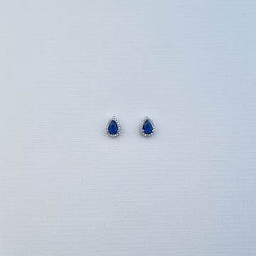 [S]E527 Earrings