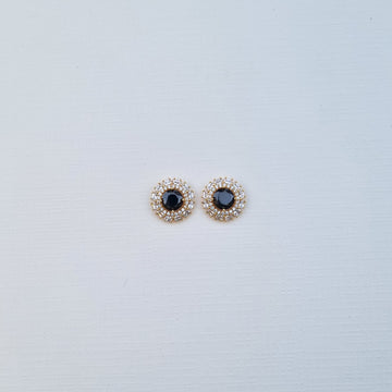 [S]E529 Earrings
