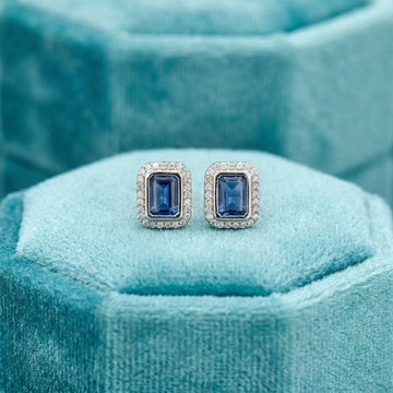 Crystal Royal Velvet Earrings [A]E604