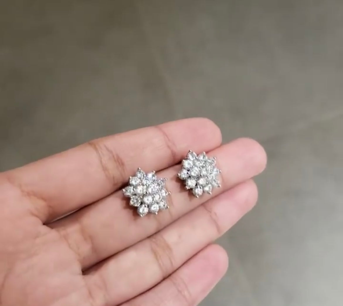 E017 Earrings