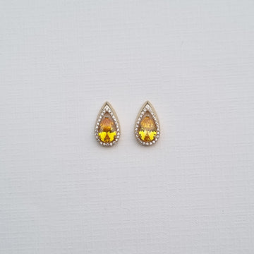 E469 Earrings