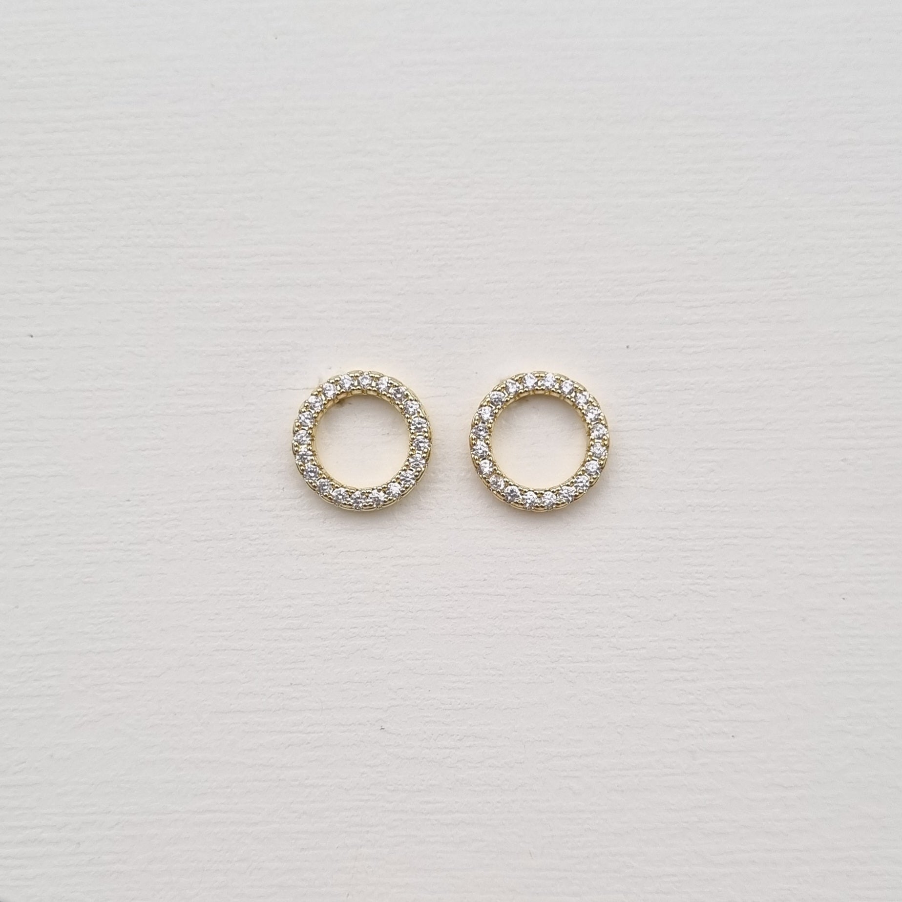 E470 Earrings