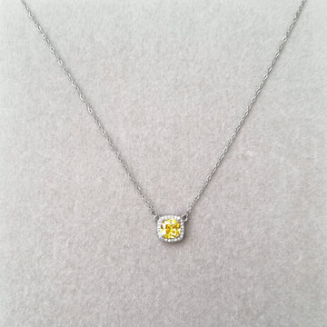 [S]N160 Necklace