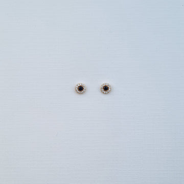 [S]E508 Earrings