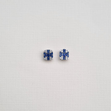[S]E510 Earrings